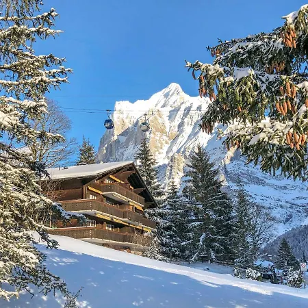 Appartement Bodmisunne-2 By Interhome Grindelwald