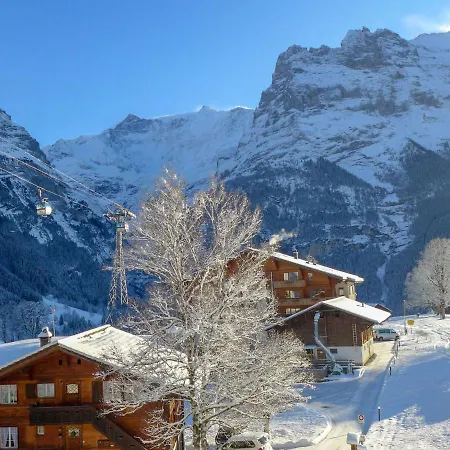 Lägenhet Bodmisunne-2 By Interhome Grindelwald