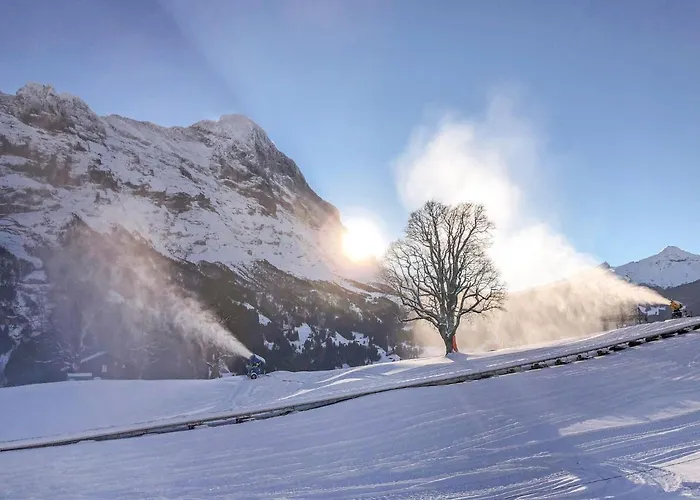 Daire Bodmisunne-2 By Interhome Grindelwald