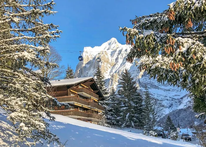 Daire Bodmisunne-2 By Interhome Grindelwald