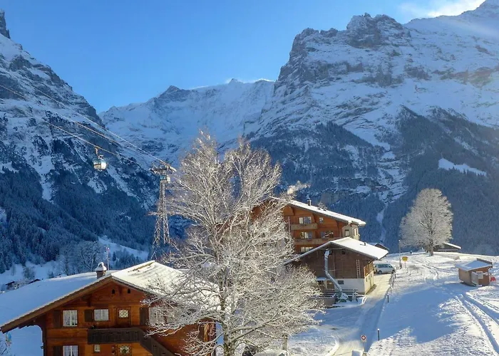 Apartment Bodmisunne-2 By Interhome Grindelwald