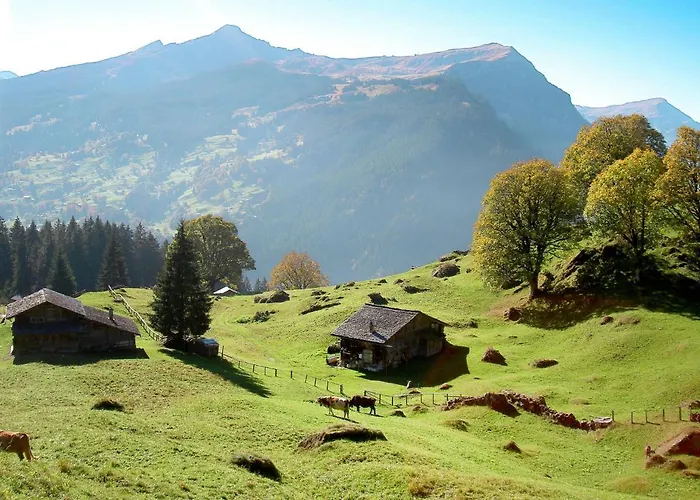 Bodmisunne-2 By Interhome Apartment